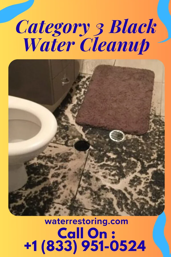 Category 3 Black Water Cleanup in Gower, MO