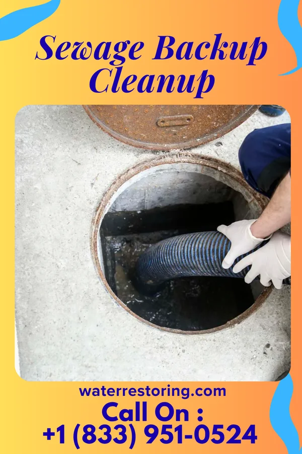 Sewage Backup Cleanup in Gower, MO