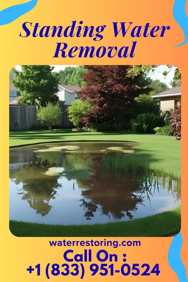Standing Water Removal in Gower, MO